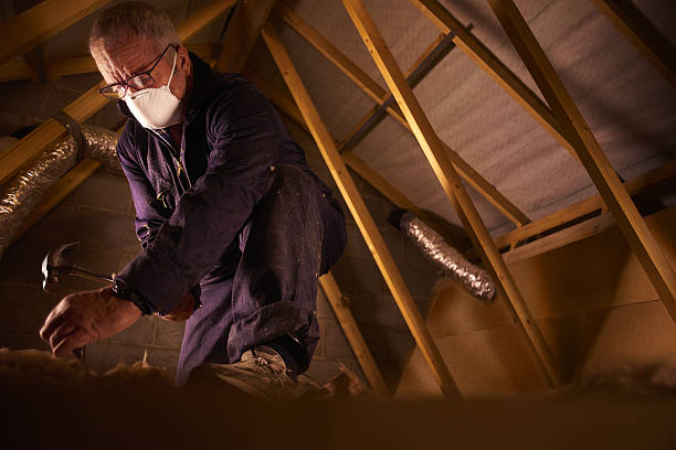 Professional Insulation Contractor in Southern Pines, NC